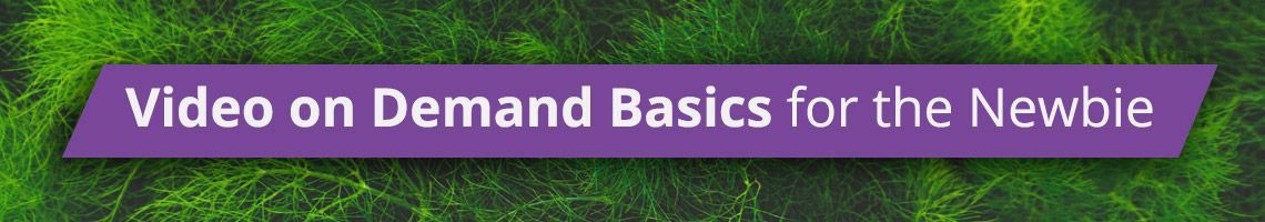 Video on Demand Basics for the Newbie