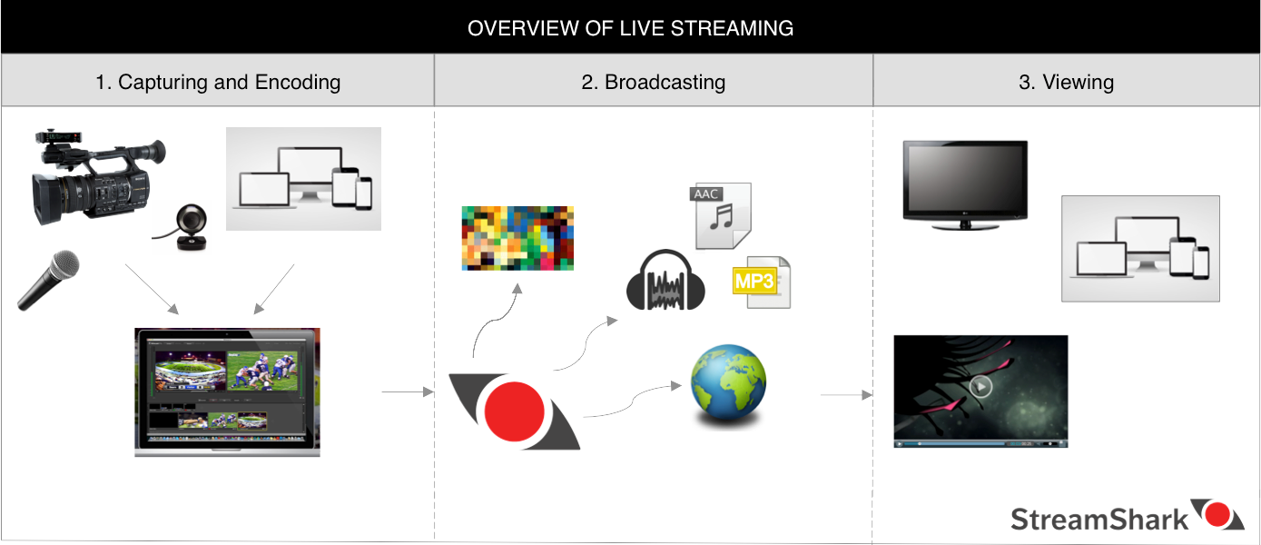 Live Streaming Process